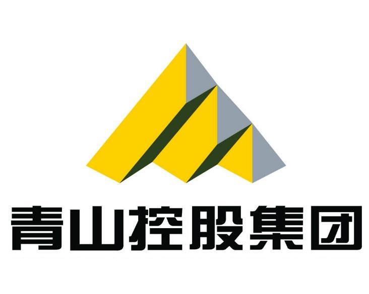 青山控股是否上市？解析其上市计划与现状