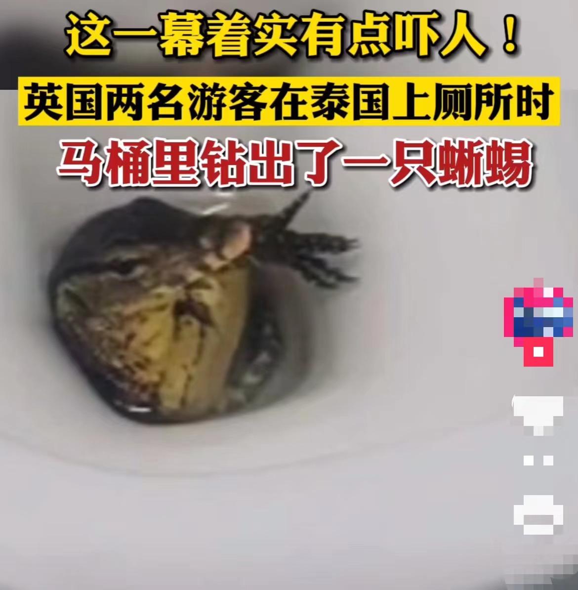 第389页