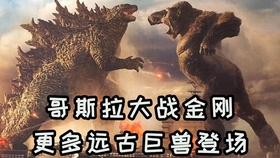 深度解析最新泰坦卡的优势与挑战