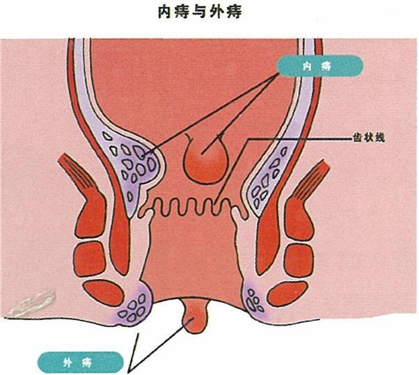 最新手术治疗，自然美景的心灵之旅体验
