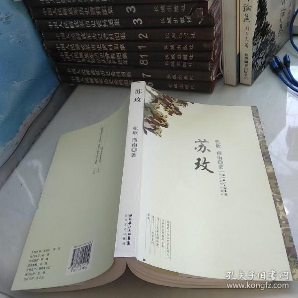 时代背景下的璀璨篇章，苏最新章节速递